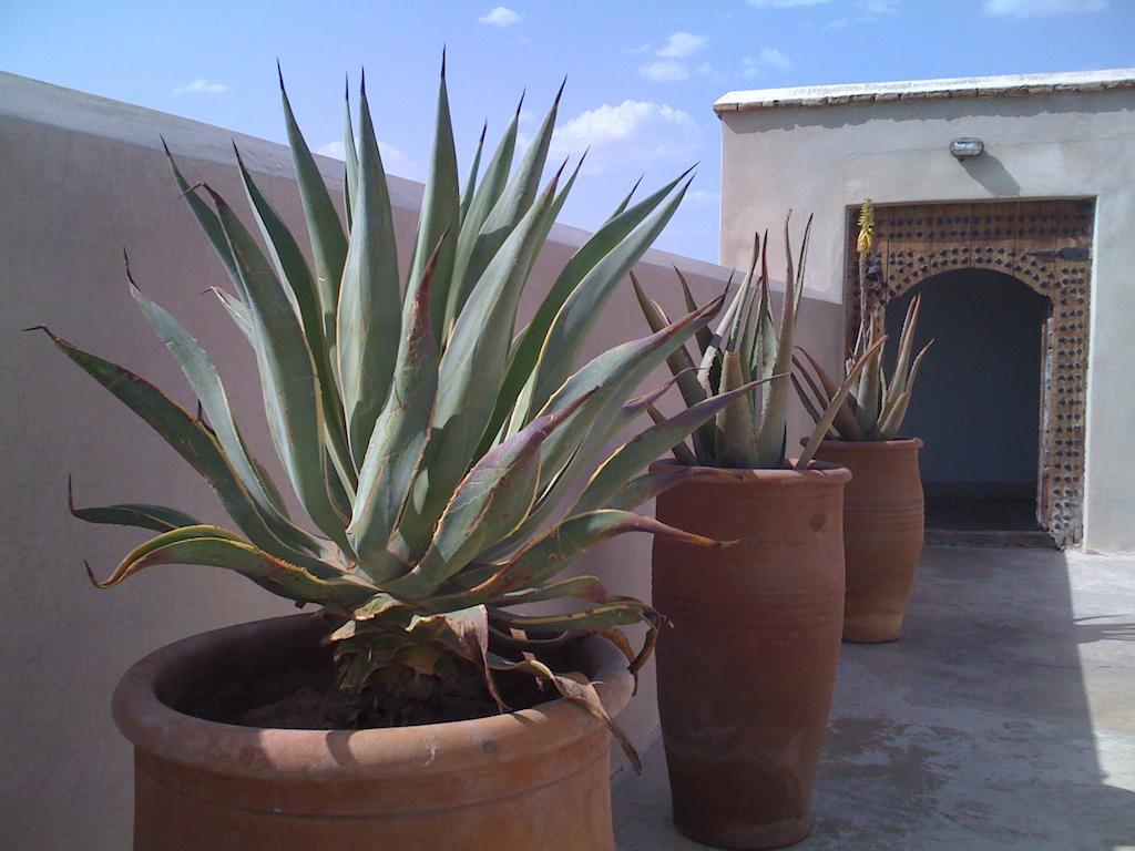 Riad Due Marrakesh Exterior photo